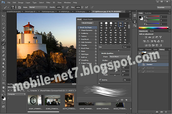 Adobe photoshop cs6 full crack download-amtlib.dll